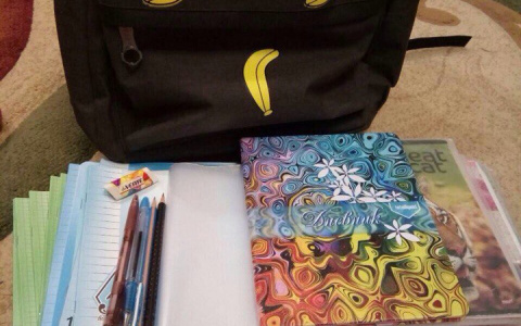 Подготовка детей к школе бьет по кошельку жителям Мордовии