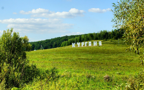 В Мордовии на фестивале «Кургоня» придумали свою валюту (ФОТО)