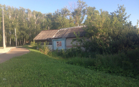 Мордовские полицейские нашли в подполе скелет бывшего хозяина дома