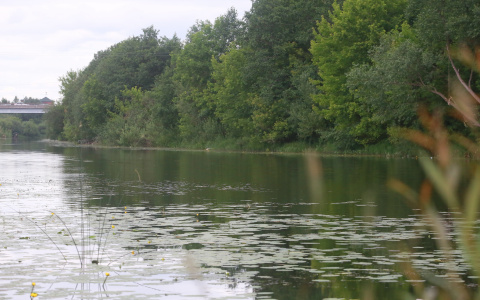 В Мордовии рыбак попытался поправить сети, но захлебнулся водой