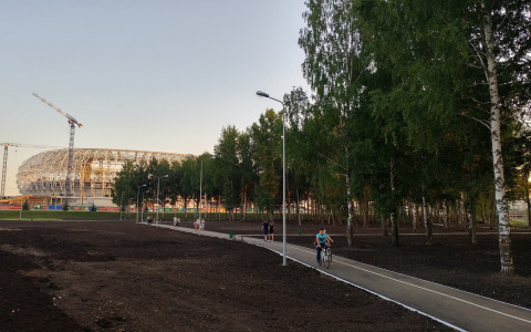 В саранском экопарке обустроят крытую спортивную площадку