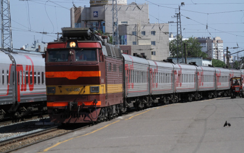 В Мордовии осудят иностранку, которую задержали в поезде с поддельными документами и наркотиками