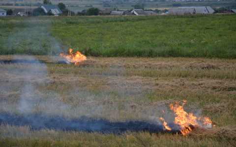 В Мордовии нерадивые хозяева предпочитают избавляться от сухостоя с помощью огня (ФОТО)