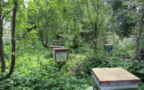 В Мордовии осудят двух мужчин за любовь к сладкому