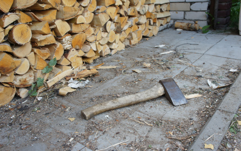 В Саранске сын угрожал своей матери топором из-за 150 рублей