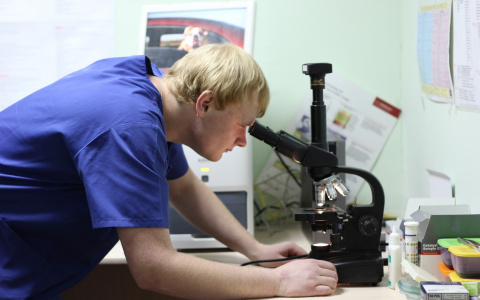 Роспотребназдор предупредил туристов о необычной болезни во Франции