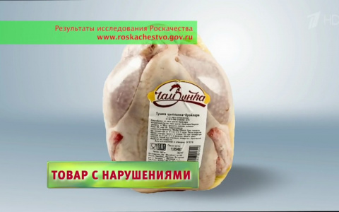 Первый канал: Курицы-бройлеры из Мордовии накачены антибиотиками