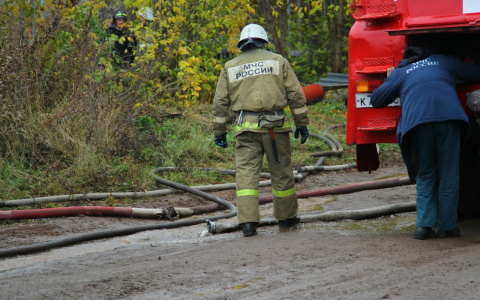 В Мордовии пенсионер сгорел в собственном доме