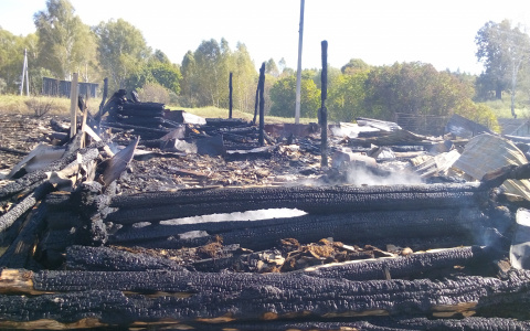 В МЧС Мордовии рассказали подробности смертельного пожара в Ельниковском районе