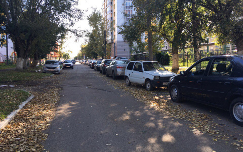 МЧС Мордовии предупреждает жителей и гостей региона о заморозках