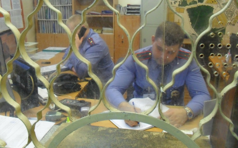 Житель Саранска похитил тротуарную плитку с набережной реки «Тавла»