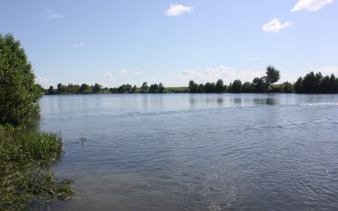 В Мордовии пьяный рыбак захлебнулся в реке