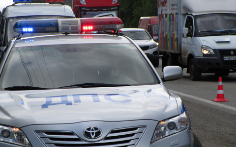 В Мордовии легковушка вылетела в кювет