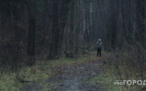 Во Владимире семья из четырех человек 2 недели жила в машине в лесу