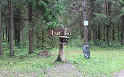 В Саранске появился эксгибиционист