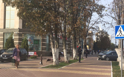 МЧС Мордовии предупреждает о сильном ветре