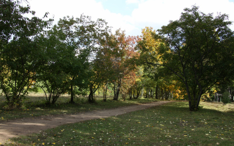 Что ждать жителям Саранска от погоды в понедельник?
