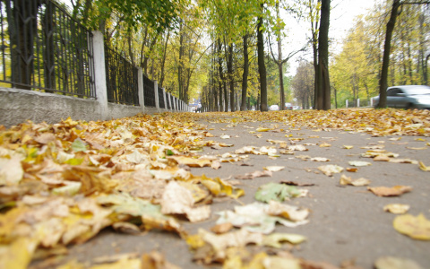 Топ-10 вещей, которые происходят с жителями Саранска каждую осень