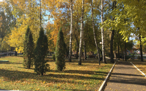 Что ждать жителям Саранска от погоды в пятницу?