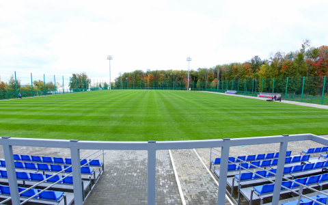 Саранская школа олимпийского резерва может стать базой одной из команд во время ЧМ-2018