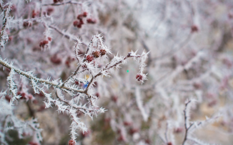 Что ждать жителям Саранска от погоды в воскресенье?