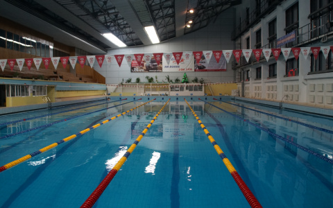 Мордовские пловцы борются за медали чемпионата и первенства ПФО