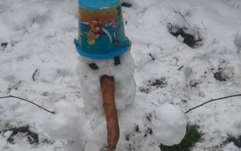 В Мордовии появились первые снеговики (ФОТО)
