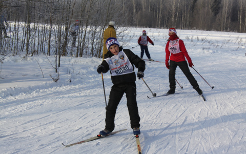 Стало известно, где в Саранске можно будет отдохнуть зимой