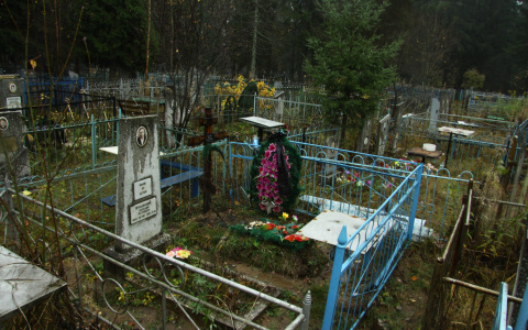 В Мордовии обнаружились бесхозные кладбища