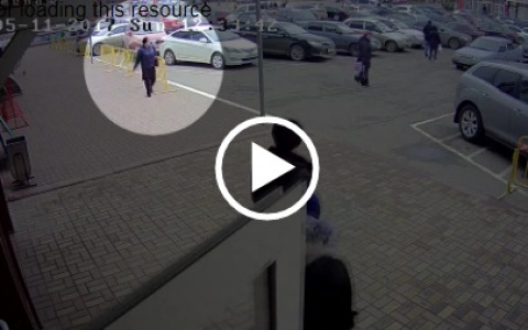 В Саранске разыскивают подозреваемую в краже