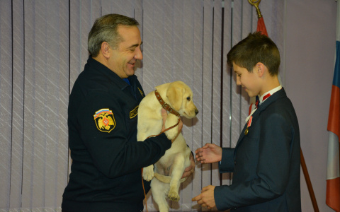 В Саранске наградили храбрых школьников, которые спасли людей от смерти