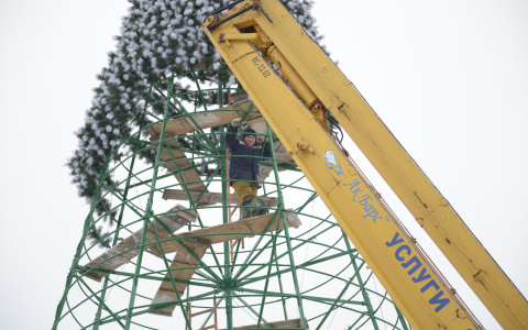 В одном из районов Саранска станет на одну новогоднюю елку больше
