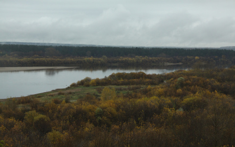 В Мордовском заповеднике появится охранная зона