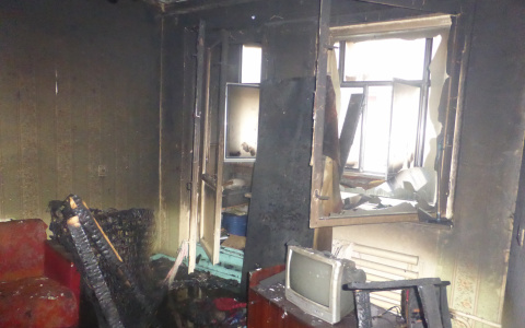 Появились фотографии с крупного пожара в пригороде Саранска