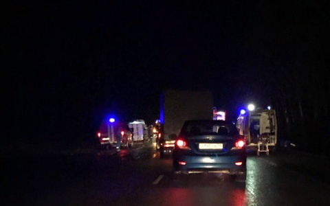 Тройное ДТП в Мордовии: один из водителей погиб на месте