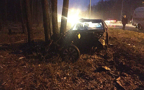 В Саранске иномарка съехала с дороги и врезалась в дерево