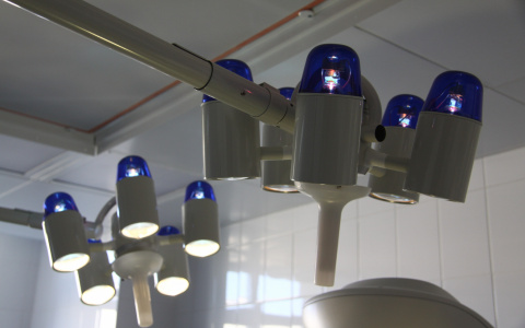 Жительница Саранска продает на «барахолке» почку