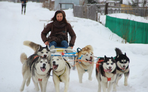 Гороскоп на 3 декабря: У одного из знаков будет очень удачный день