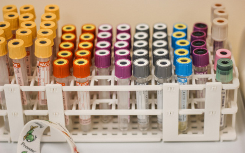 В Саранске возбудили уголовное по факту массового отравления школьников