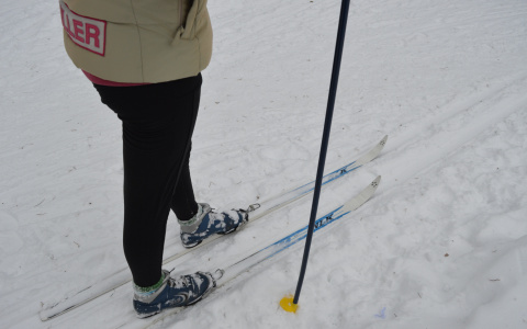 Стало известно, сколько в этом сезоне в Саранске будет катков и лыжных баз
