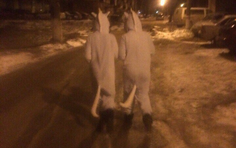 По ночному Саранску прогуливались два «единорога»