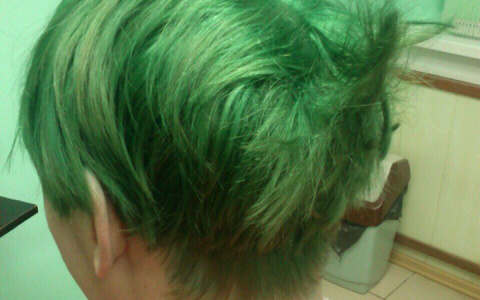 В Мордовии мужчина пришел к парикмахеру с необычной новогодней историей