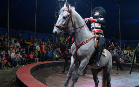 Житель Мордовии несколько лет гастролировал с цирком, чтобы не платить алименты детям