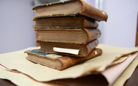 Жители Мордовии могут сохранить деревья с помощью макулатуры