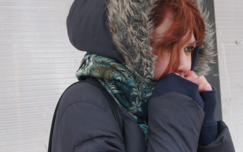 Сотрудники МЧС Мордовии опубликовали памятку поведения при сильных морозах