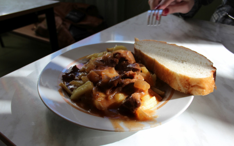 В Мордовии школьников кормили обедом с кишечной палочкой