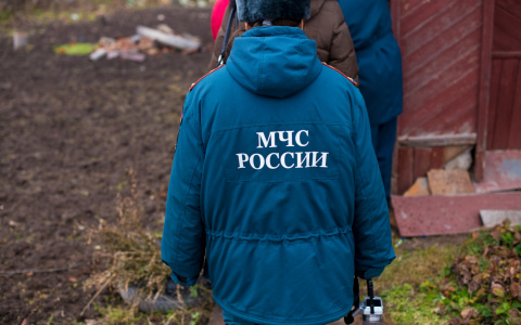 В МЧС рассказали о героических поступках жителей Мордовии, которых наградил Президент