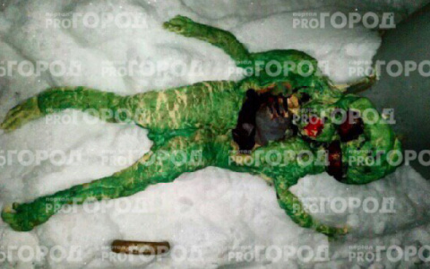 Новости «Pro Городов»: В Гусь-Хрустальном обнаружили растерзанное тело «зеленого человечка»