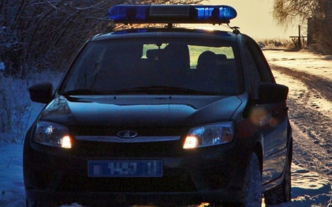 В Саранске сотрудники Росгвардии задержали нетрезвого водителя, который разъезжал по городу