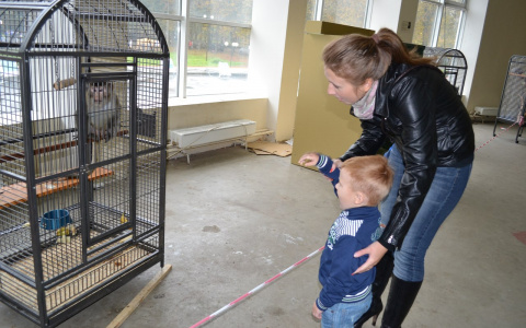 Гороскоп на 2 февраля: Одному из знаков лучше прислушиваться к советам